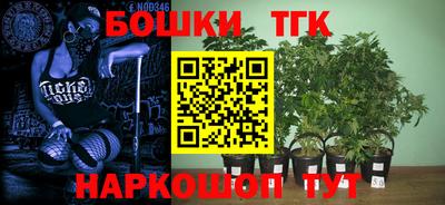индика Первоуральск