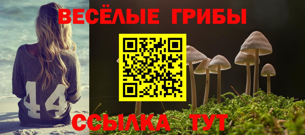 Ревда  Галлюциногенные грибы мухоморы  Вход с VPN 